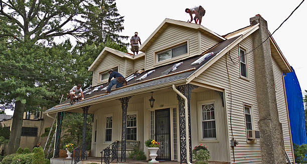 Quick and Trustworthy Emergency Roof Repair Services in Lake Sarasota, FL